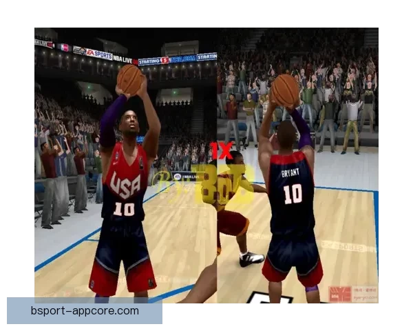 围绕B体育最新地址全面解析平台功能优势与最新访问方式指南详细说明